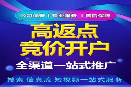 百度SEO推广公司案例精选：揭秘优化策略